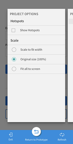 project-options